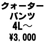 石川台中　体育着  クォーターパンツ　サイズ　3L~4L