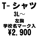 石川台中　体育着  トレーニングシャツ　サイズ　3L〜4L